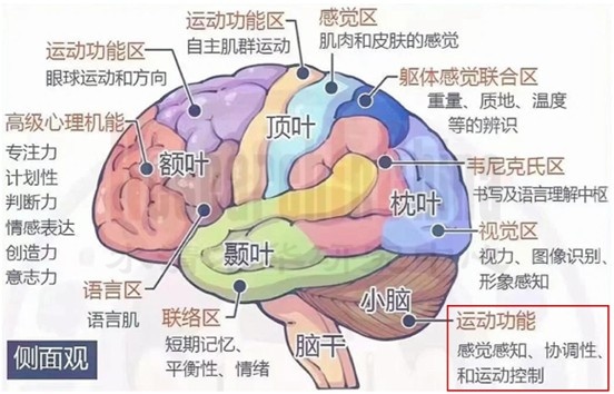 机器人控制器1.jpg